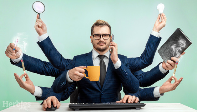 brandheiss und fleissig die 10 besten sorten fur mehr produktivitat
